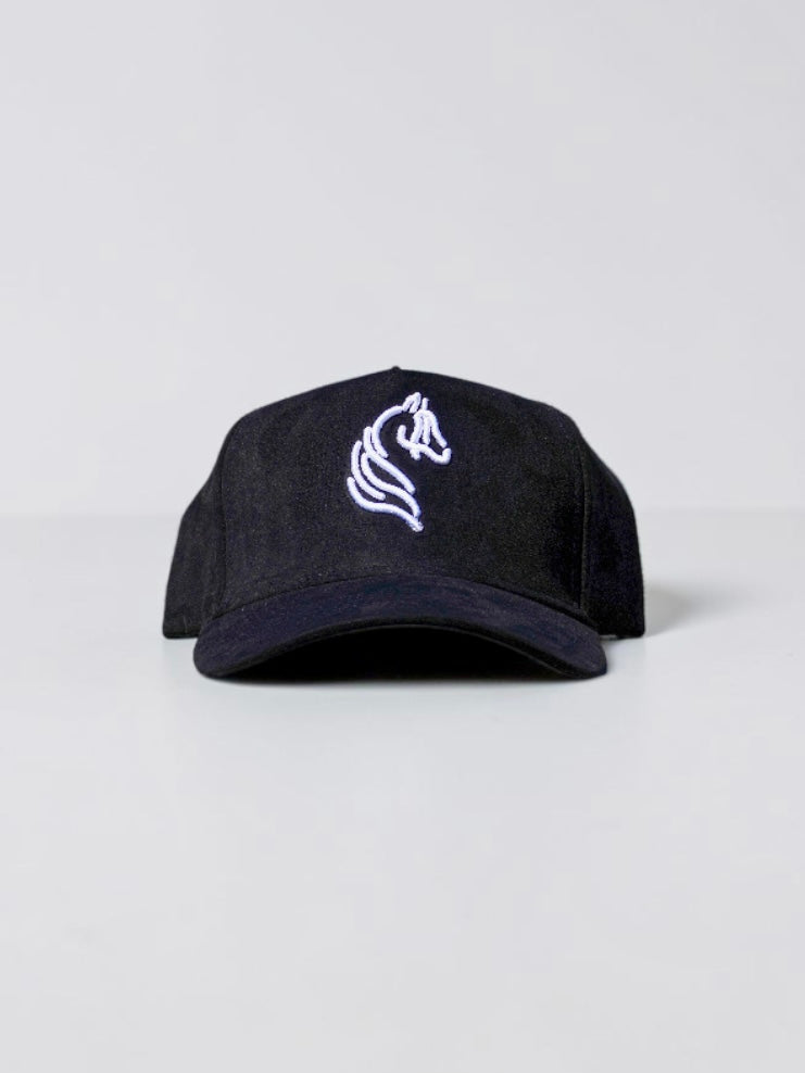 Black Stallion
